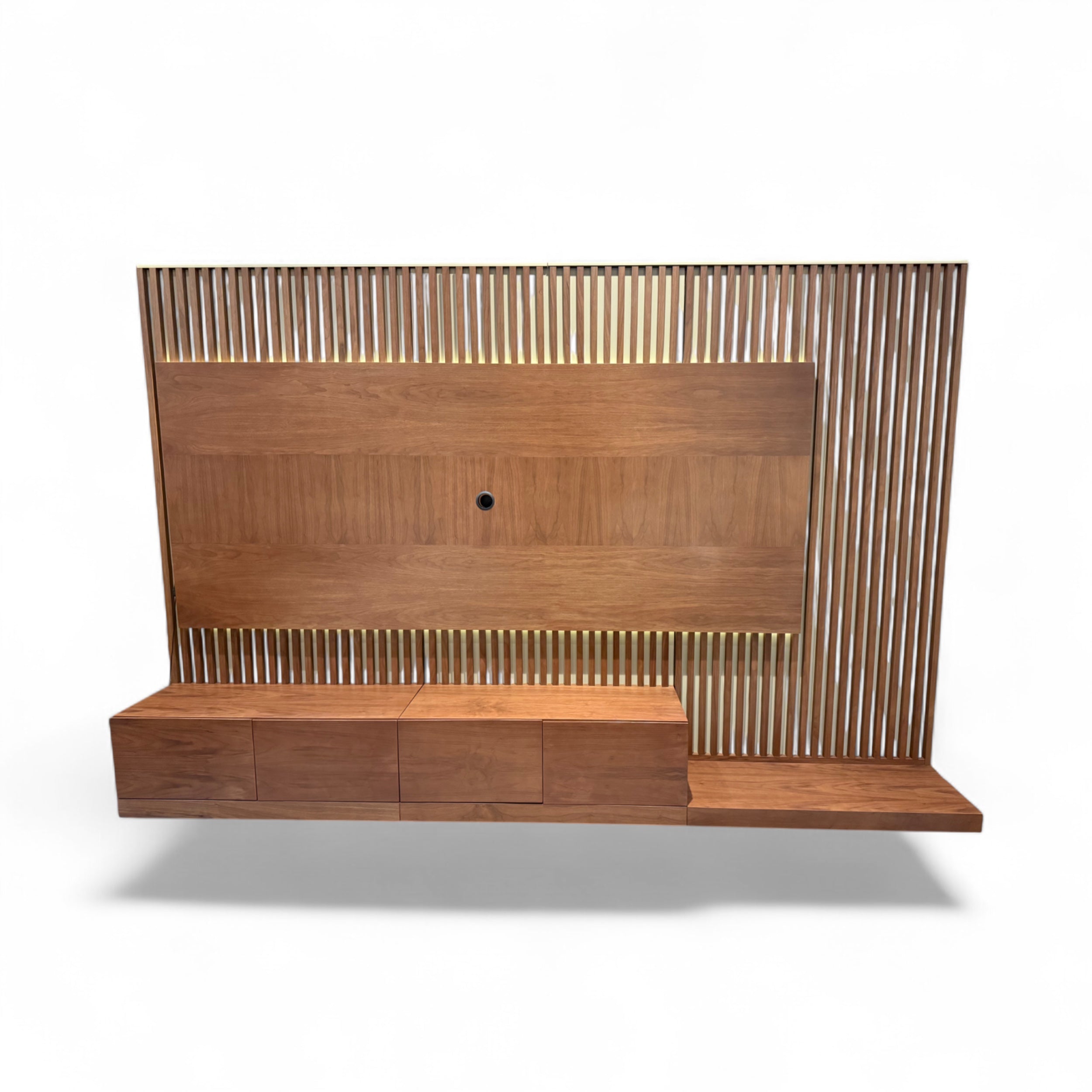 MODULO DE TV SALAMANCA