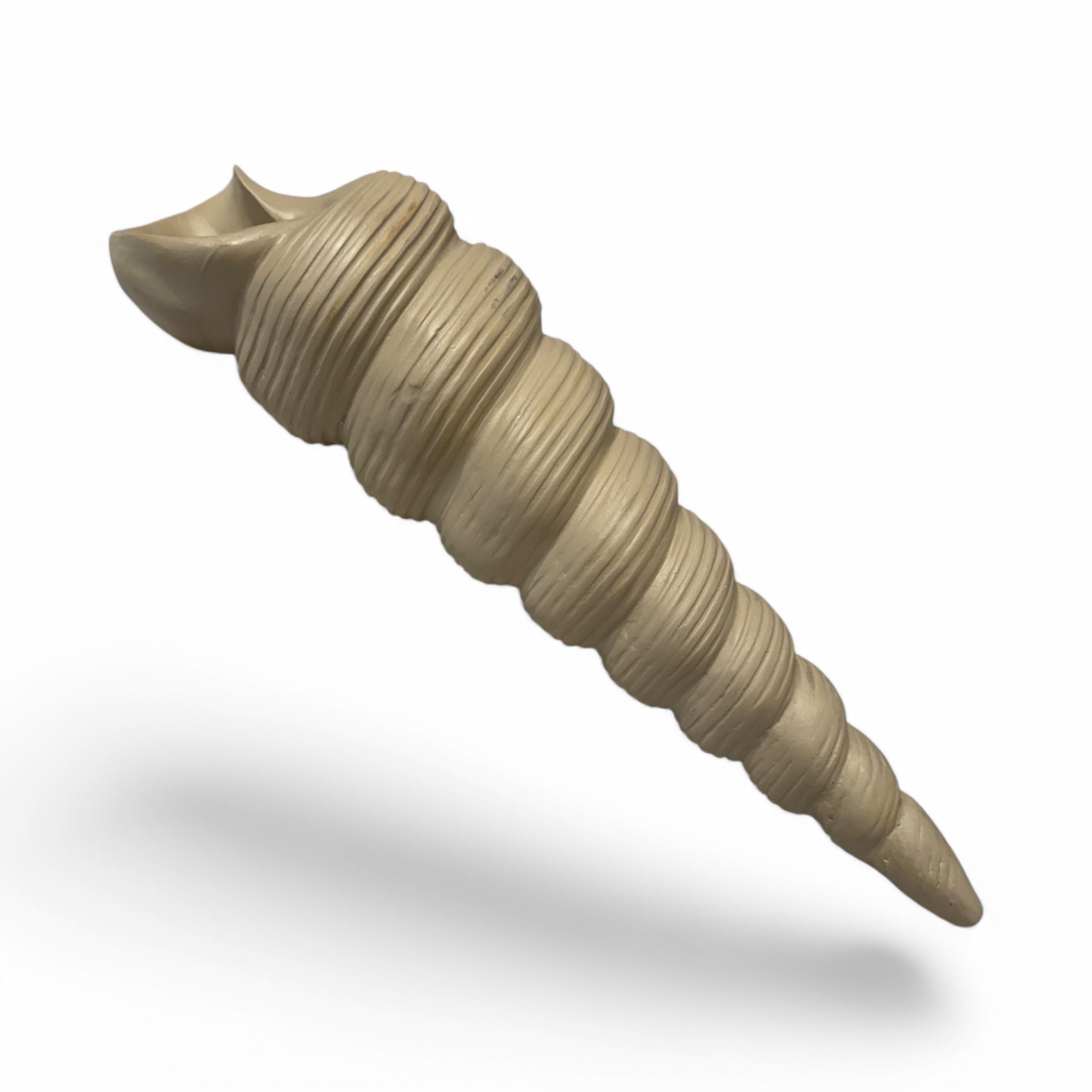 CARACOL LARGO