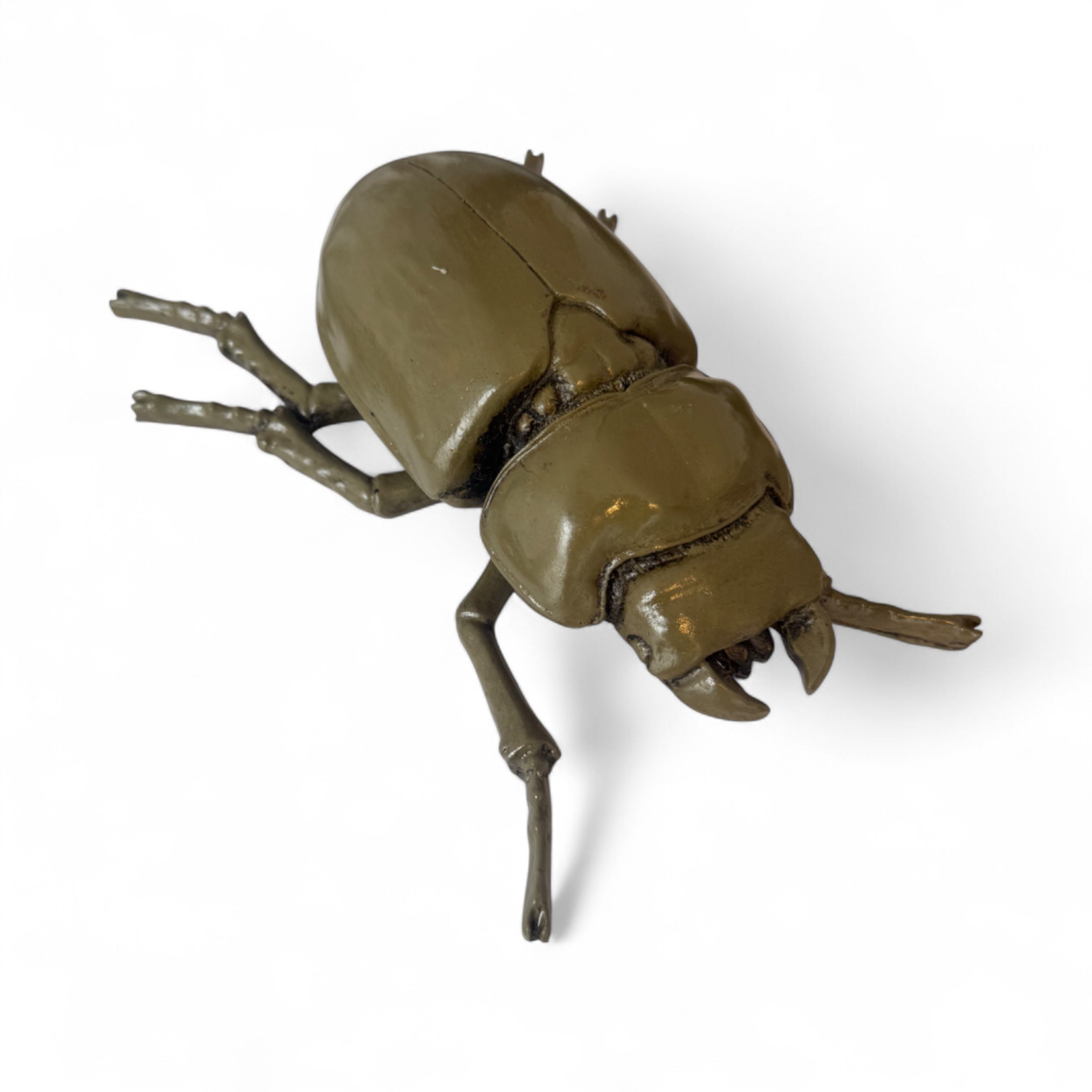ESCARABAJO VERDE HOJA